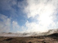 IS, Sudurnes, Reykjanesbaer, Reykjanes 5, Saxifraga-Bart Vastenhouw