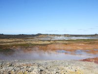 IS, Sudurnes, Reykjanesbaer, Reykjanes 6, Saxifraga-Bart Vastenhouw