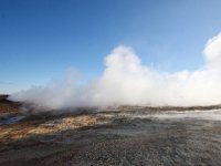 IS, Sudurnes, Reykjanesbaer, Reykjanes 7, Saxifraga-Bart Vastenhouw