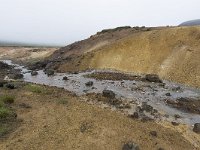 IS, Sudurnes, Reykjanesbaer, Seltun 7, Saxifraga-Peter Stein