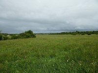 IRL, Clare County, The Burren 1, Saxifraga-Kees Laarhoven