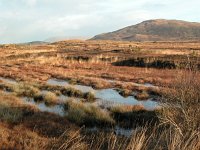 Connemara