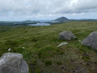 IRL, Galway County, Connemara 16, Saxifraga-Kees  Laarhoven