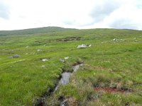 IRL, Galway County, Connemara 3, Saxifraga-Kees  Laarhoven