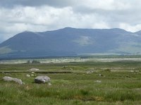 IRL, Galway County, Connemara 4, Saxifraga-Kees  Laarhoven