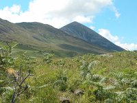 IRL, Co Mayo, Crawford, Croagh Patrick 1, Saxifraga-Sasha van der Sleesen