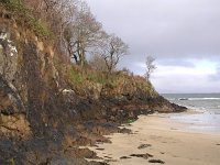 IRL, Co Mayo, Westport, Old Head Clew Bay 1, Saxifraga-Sasha van der Sleesen