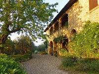 I, Arezzo, Laterina Pergine Valdarno, near Montozzi 3, Saxifraga-Tom Heijnen