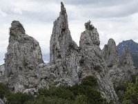 I, Belluno, Livinallongo del Col di Lana, Arabba, Bec de Roces 47, Saxifraga-Willem van Kruijsbergen