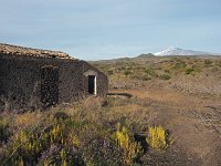 I, Catania, Bronte, Etna 5, Saxifraga-Hans Dekker