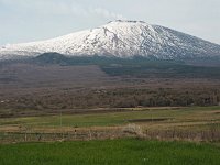 I, Catania, Bronte, Etna 8, Saxifraga-Hans Dekker