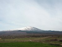 I, Catania, Bronte, Etna 9, Saxifraga-Hans Dekker