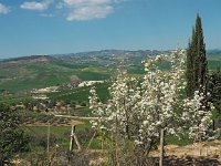 I, Catania, San Michele di Ganzaria 6, Saxifraga-Hans Dekker