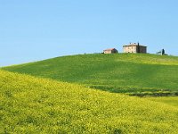 I, Grosseto, Castel del Piano 3, Saxifraga-Hans Dekker