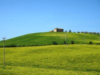 I, Grosseto, Castel del Piano 4, Saxifraga-Hans Dekker