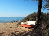 I, Grosseto, Castiglione della Pescaia, Punta Ala 1, Saxifraga-Hans Dekker