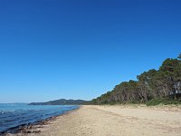 I, Grosseto, Castiglione della Pescaia, Punta Ala 2, Saxifraga-Hans Dekker