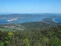 I, Grosseto, Monte Argentario 1, Saxifraga-Hans Dekker