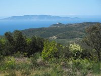 I, Grosseto, Monte Argentario 2, Saxifraga-Hans Dekker