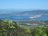 I, Grosseto, Monte Argentario 4, Saxifraga-Hans Dekker