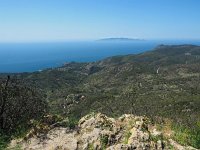 I, Grosseto, Monte Argentario 5, Saxifraga-Hans Dekker