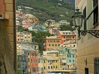 I, Liguria, Bogliasco 1, Saxifraga-Hans Dekker