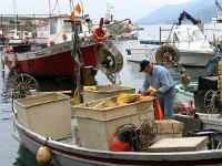 I, Liguria, Camogli 7, Saxifraga-Hans Dekker