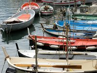 I, Liguria, Camogli 8, Saxifraga-Hans Dekker