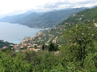 I, Liguria, Camogli 9, Saxifraga-Hans Dekker