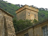 I, Liguria, Camogli, San Fruttuoso 7, Saxifraga- Hans Dekker