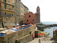 I, Liguria, Lerici, Telaro 6, Saxifraga-Hans Dekker