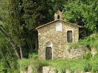 I, Liguria, Portofino 1, Saxifraga-Hans Dekker