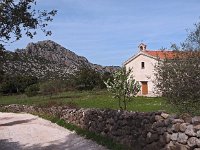 I, Nuoro, Dorgali 4, Saxifraga-Hans Dekker