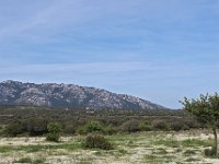 I, Nuoro, Dorgali 9, Saxifraga-Hans Dekker