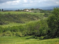 I, Siena, Colle di Val d'Elsa, Castel San Gimignano 1, Saxifraga-Hans Dekker