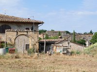 I, Siena, Monteriggioni, Abbadia a Isola 1, Saxifraga-Tom Heijnen