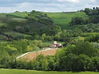 I, Siena, San Gimignano 1, Saxifraga-Hans Dekker