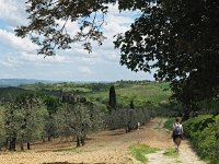 I, Siena, San Gimignano 10, Saxifraga-Hans Dekker