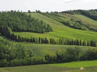 I, Siena, San Gimignano 12, Saxifraga-Hans Dekker