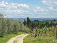 I, Siena, San Gimignano 4, Saxifraga-Hans Dekker