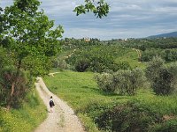 I, Siena, San Gimignano 8, Saxifraga-Hans Dekker