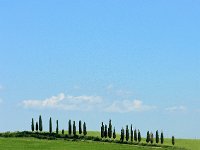 I, Siena, San Quirico d'Orcia 4, Saxifraga-Hans Dekker