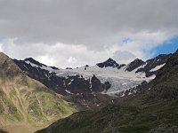 I, Sondrio, Valfurva, Passo di Gavia 1, Saxifraga-Hans Dekker