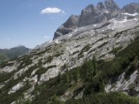 I, Sued-Tirol, Canazei, Marmolada 50, Saxifraga-Willem van Kruijsbergen