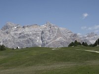 I, Sued-Tirol, Corvara, Col Alt 17, Saxifraga-Willem van Kruijsbergen