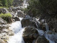 I, Sued-Tirol, Corvara, Kolfuschg 4, Saxifraga-Willem van Kruijsbergen