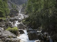 I, Sued-Tirol, Corvara, Kolfuschg 5, Saxifraga-Willem van Kruijsbergen