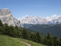 I, Sued-Tirol, Corvara, Kolfuschg, Ciamplo 9, Saxifraga-Willem van Kruijsbergen