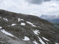 I, Sued-Tirol, Corvara, Le Valun 38, Saxifraga-Willem van Kruijsbergen