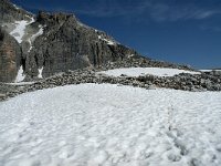 I, Sued-Tirol, Corvara, Le Valun 44, Saxifraga-Annemiek Bouwman